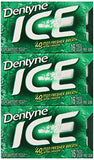 Dentyne Ice Sugar-Free Gum (Spearmint, 16 Piece, Pack of 9)