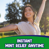 Mint Candy, 2 Pounds Mint Candy - Holiday Candy Individually Wrapped - Hard Mints Candy Melts, Bulk Candy Mints, Bag of Candy for Every Occasion - Mints Holiday Candy
