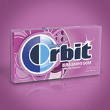 Orbit Bubblemint Sugarfree Gum, 14 pieces, (Pack of 24)